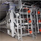 KyllingBur H Type Broiler House System Fjærfe Oppdrett