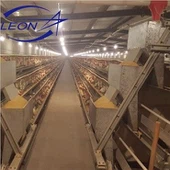 Layer Cages Egg Chicken Poultry Farm
