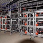 Layer Egg Cage System