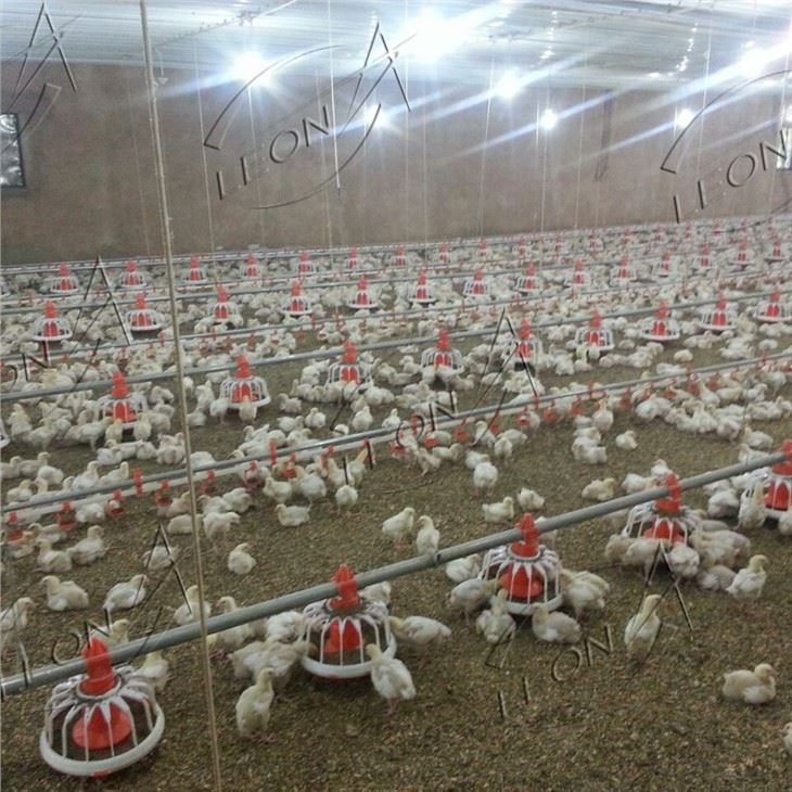 High Quality Automatic Broiler Pan Feeding System