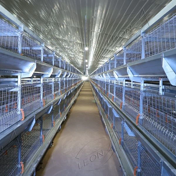 Robust Broiler Cage System