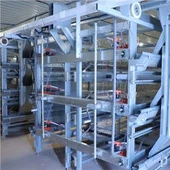 H Type Broiler Batteri Kylling Cages Fjærfe Gård