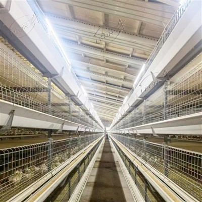 Slaktekyllingbur hevesystem